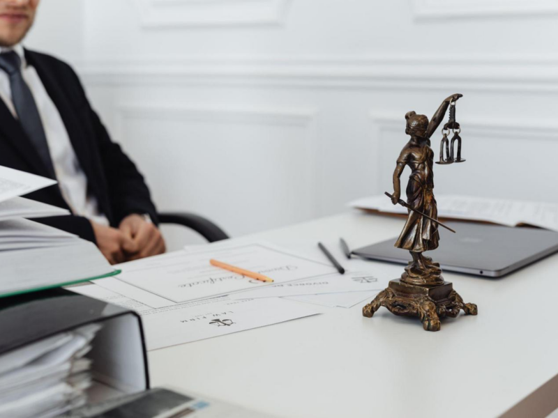 The Role of Law Essays to Help Promote Human Rights
